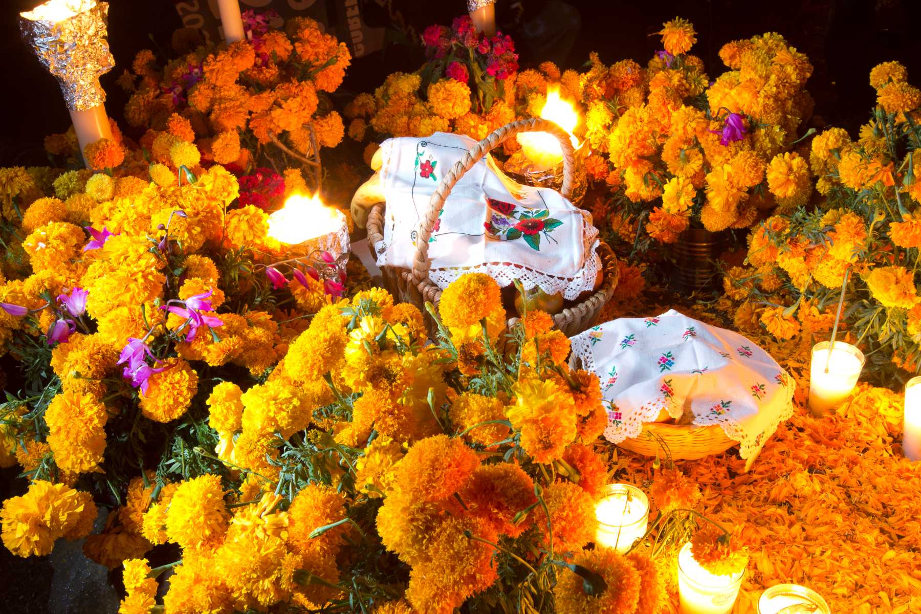 Image of mexican cultural symbol the marigold